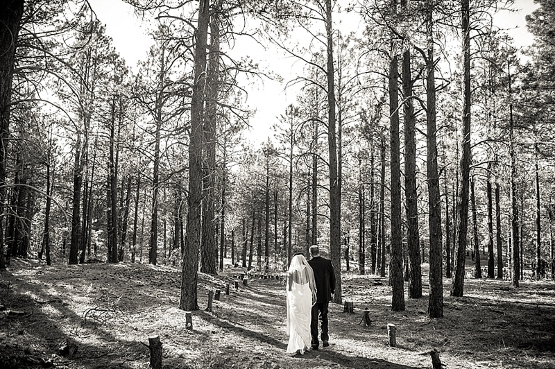 Flagstaff Backyard wedding photos